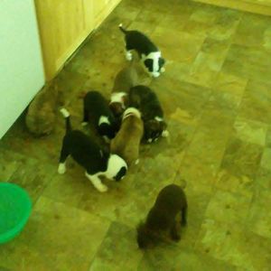 Meet your Posher, Matthew